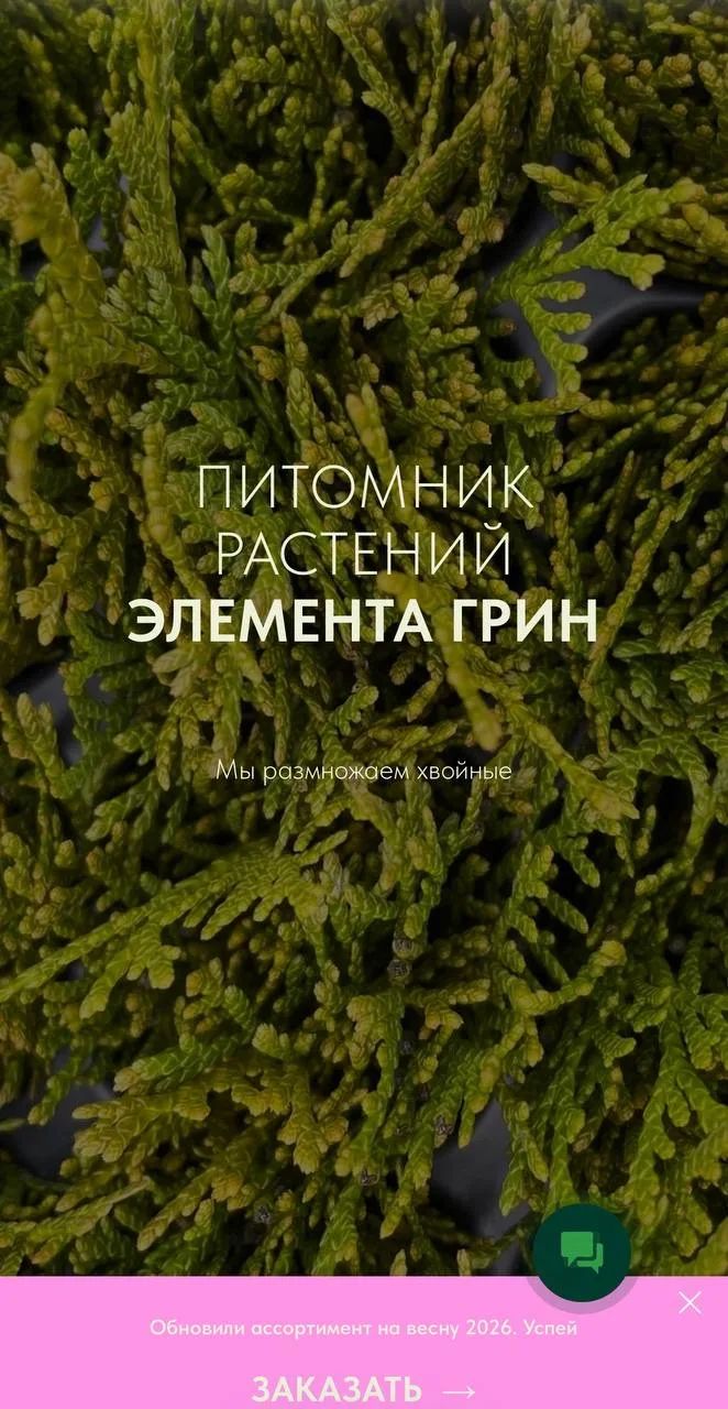 Весна! Весна - новый сезон, новая жизнь, новое всё!