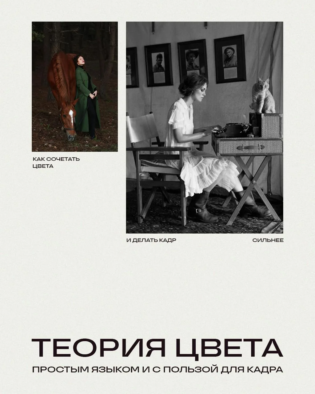 🎨 Теория цвета