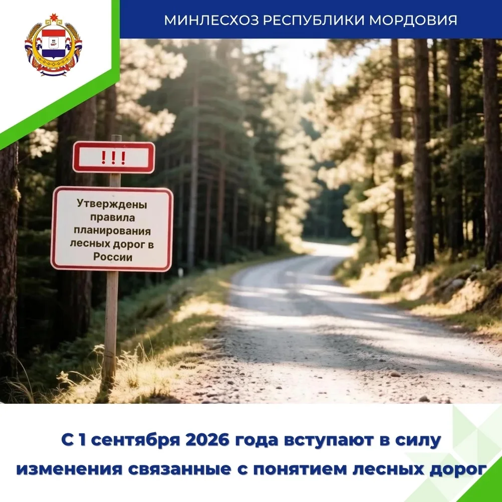 🌲 Важные изменения в Лесном кодексе: что ждет лесные дороги?

С 1 сентября 2026 года в России вступ