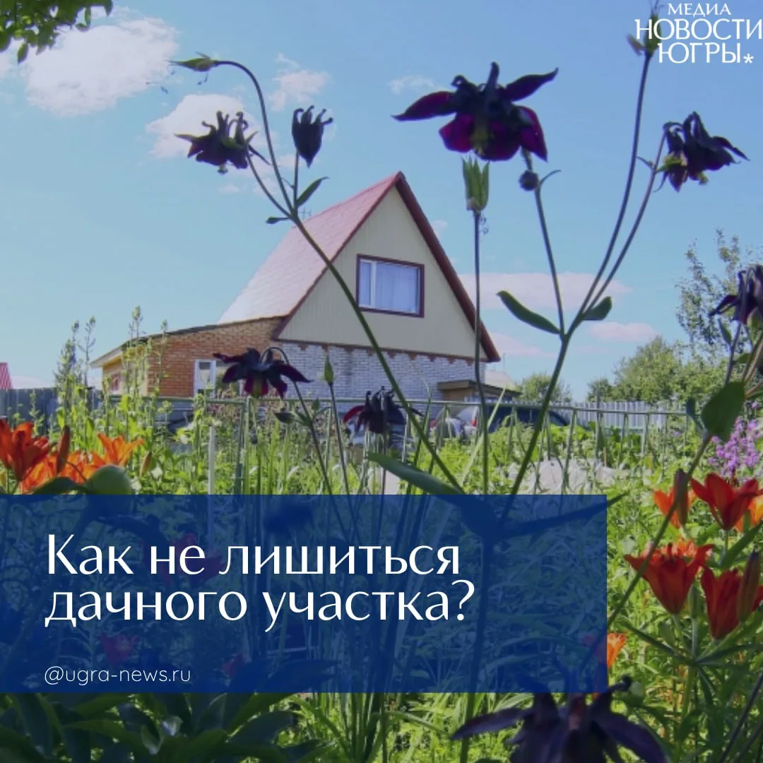 Эксперты напомнили собственникам дачных участков об основаниях для изъятия загородных с...