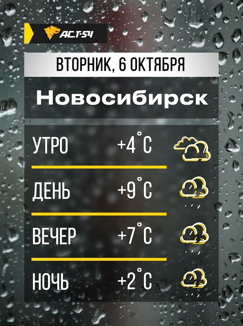 ☔️ Доброе утро, Новосибирск! Сегодня в течение дня ожидаются дожди.