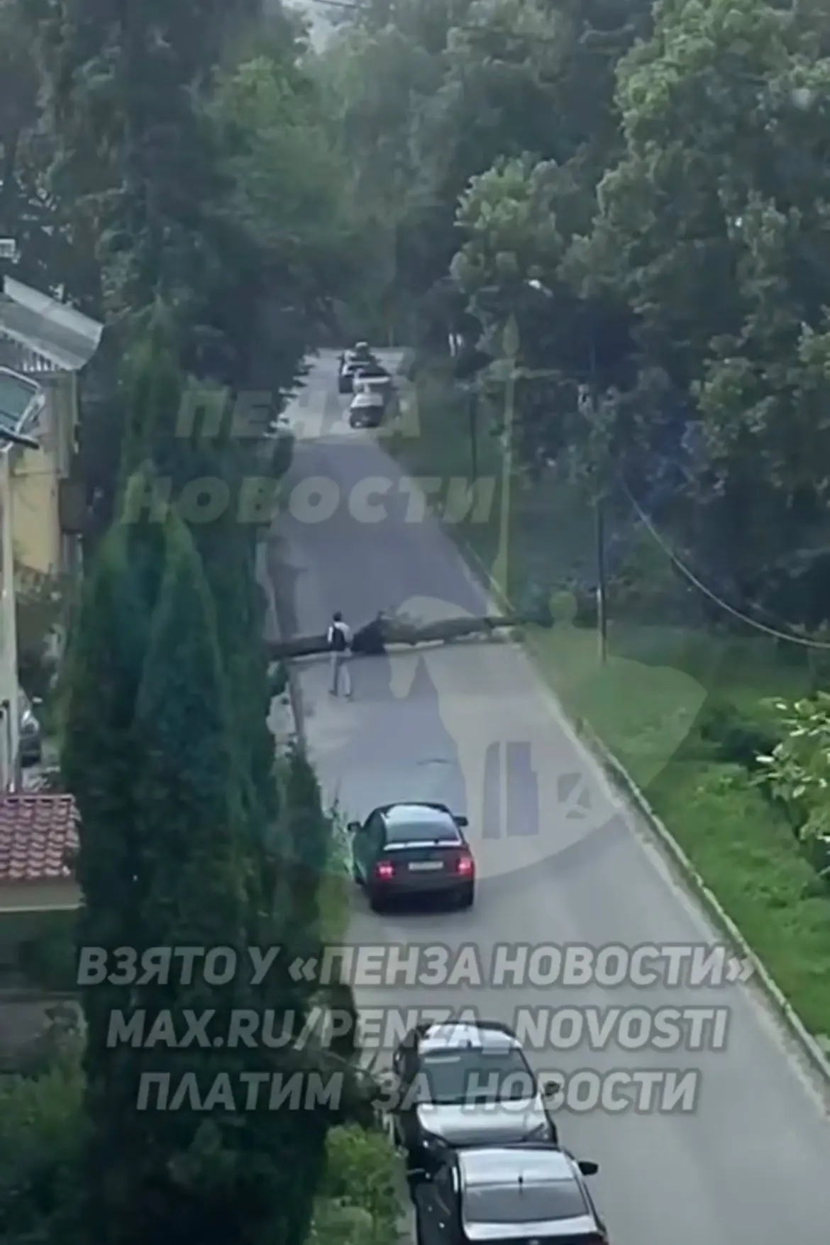 Ветер повалил деревья в Пензе 😅

Одно рухнуло на ул. Фрунзе, второе — упало на машину около дома № 