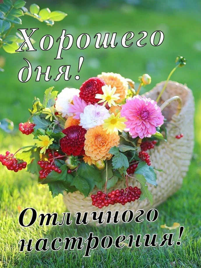 🥰 Оставляйте реакции, если понравилась открытка и делитесь с близкими ❤️

💌 Открытки 👉 Подписатьс