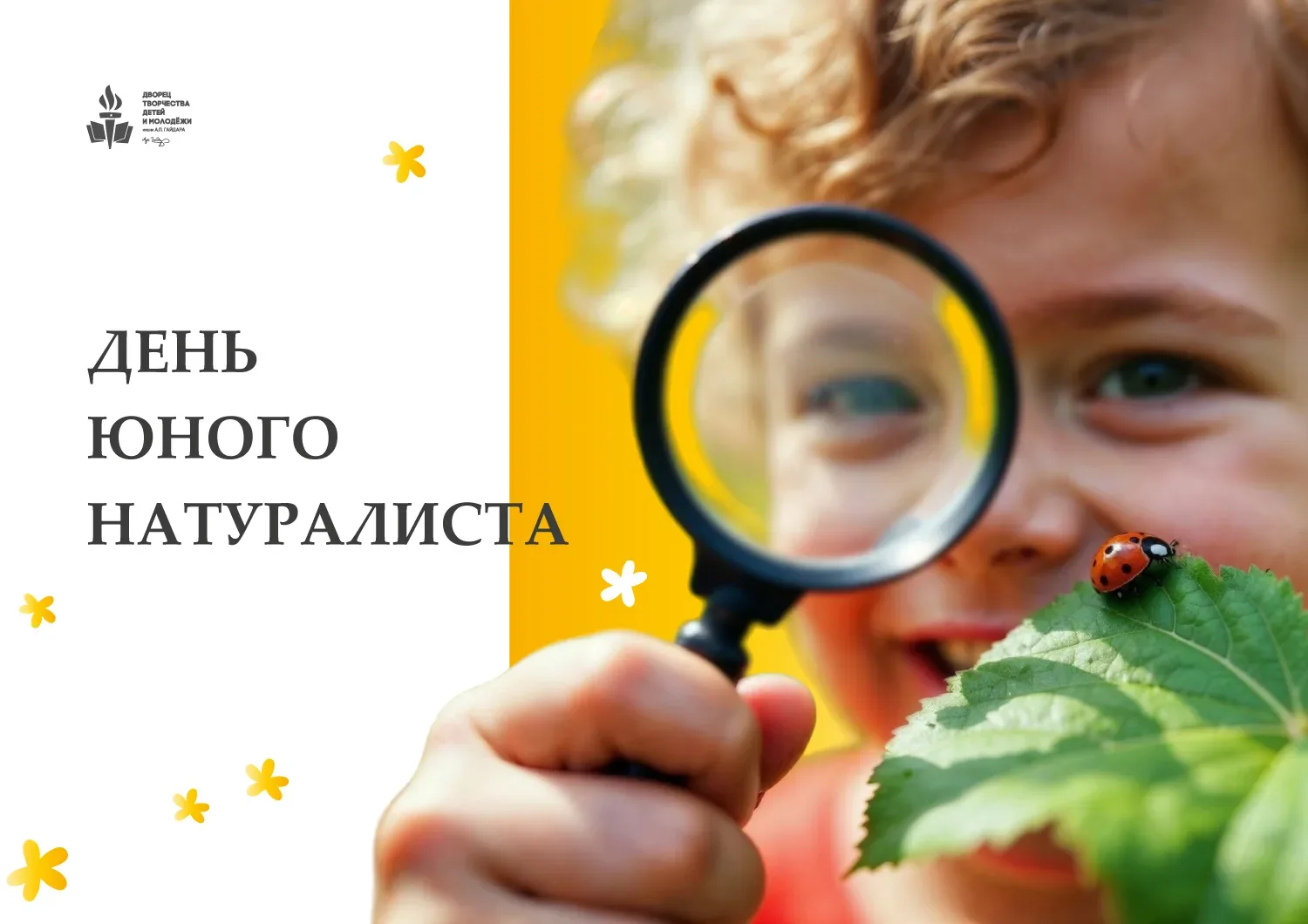 15 июня — День юного натуралиста! 🔍

Сегодня праздник тех, кто любит природу, изучает её и заботитс