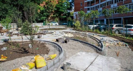 🌳 В центре Ростова появится новый сквер «Кленовый дворик»