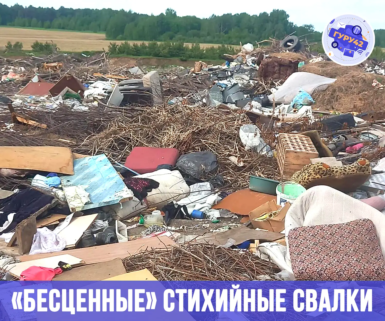 🟢 Парадокс: все мы возмущаемся по поводу стихийных свалок, которые гробят нашу экологи...