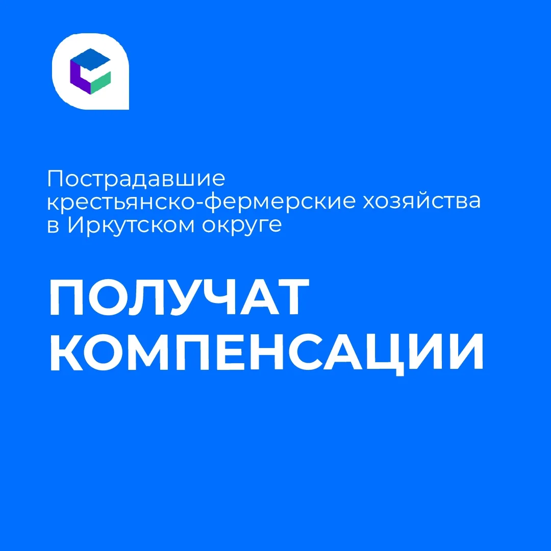 ⚠️Игорь Кобзев активно включился в решение проблемы с узелковым дерматитом на территори...