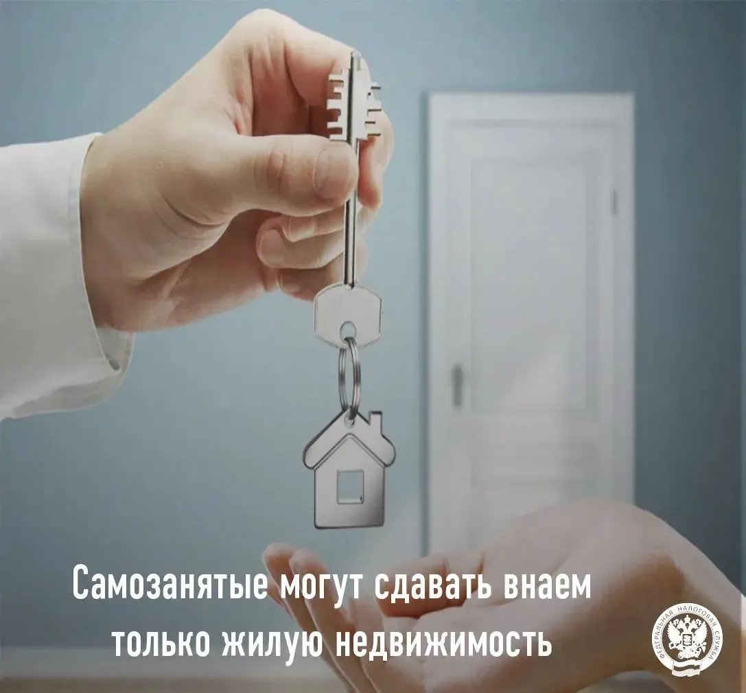 Сдаете квартиру как самозанятый? Проверьте, все ли правильно!