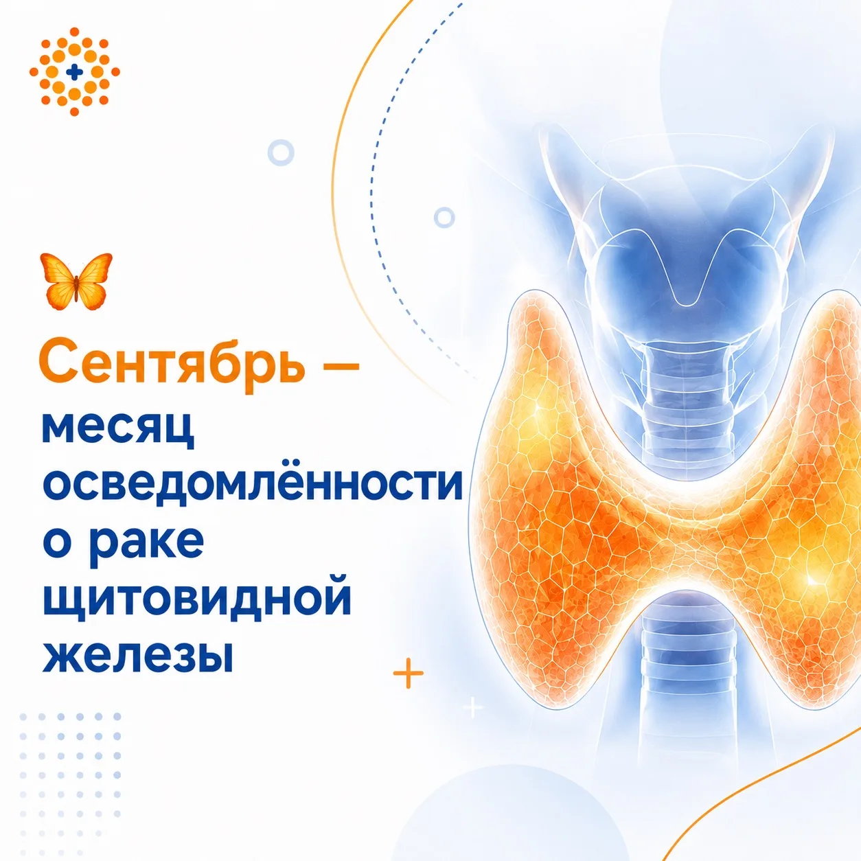 🦋 СЕНТЯБРЬ — МЕСЯЦ ОСВЕДОМЛЁННОСТИ О РАКЕ ЩИТОВИДНОЙ ЖЕЛЕЗЫ
