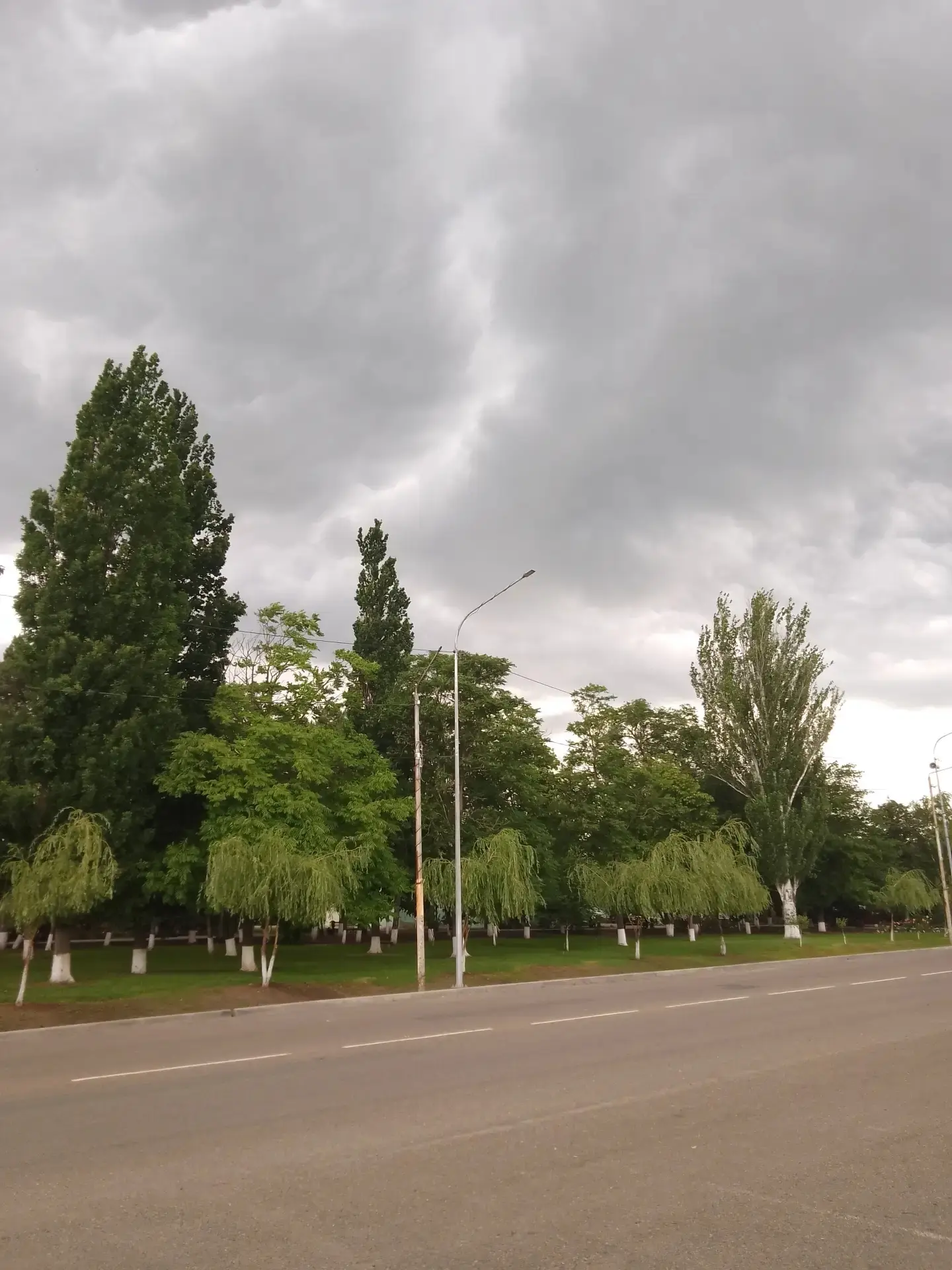 🌤 Доброе утро!

🌡️ Понедельник, +14…+26, сухо. Погода сделала всё, чтобы вы не могли пожаловаться.