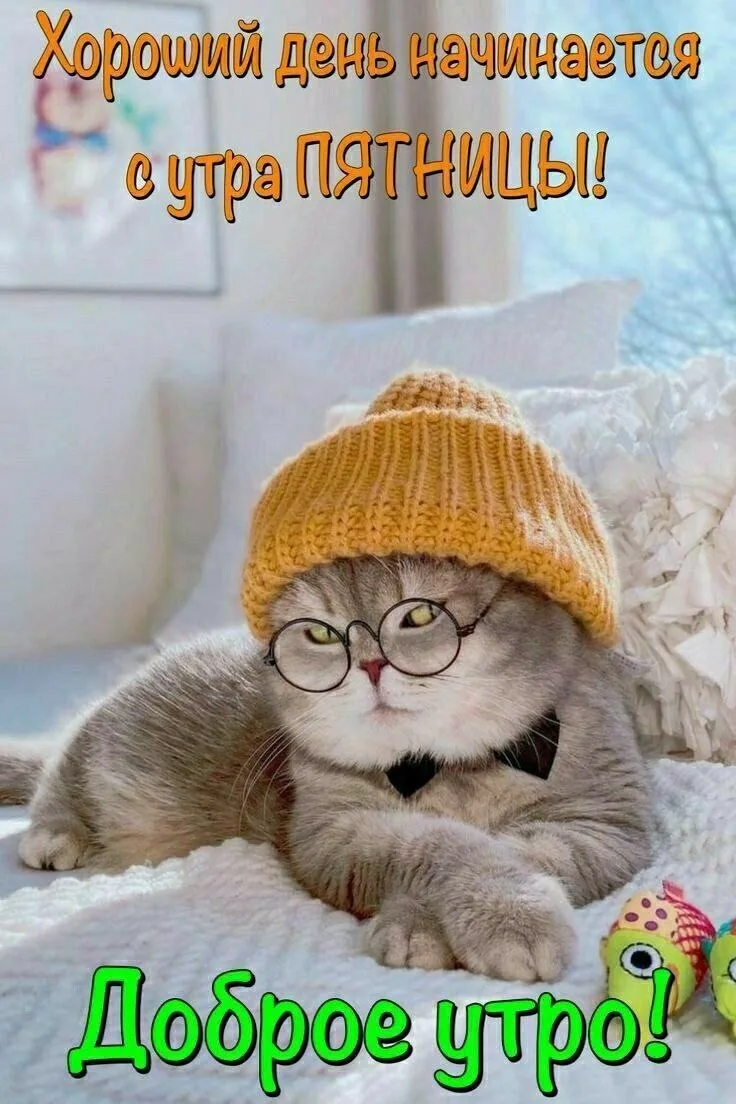 Доброе утро, соседи!