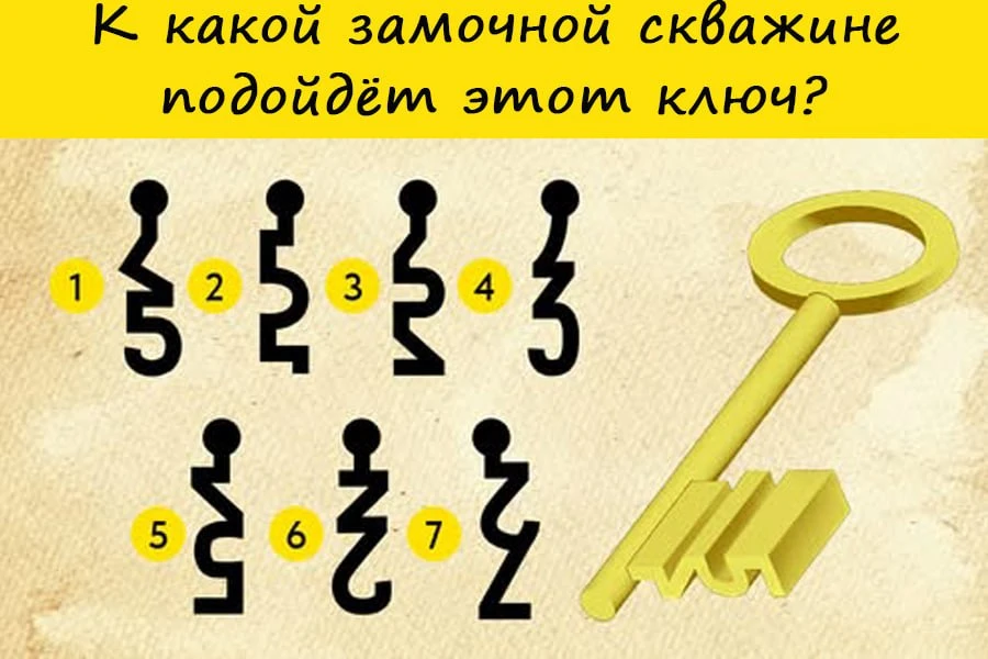 #Головоломка_для_глаз  Внимательность