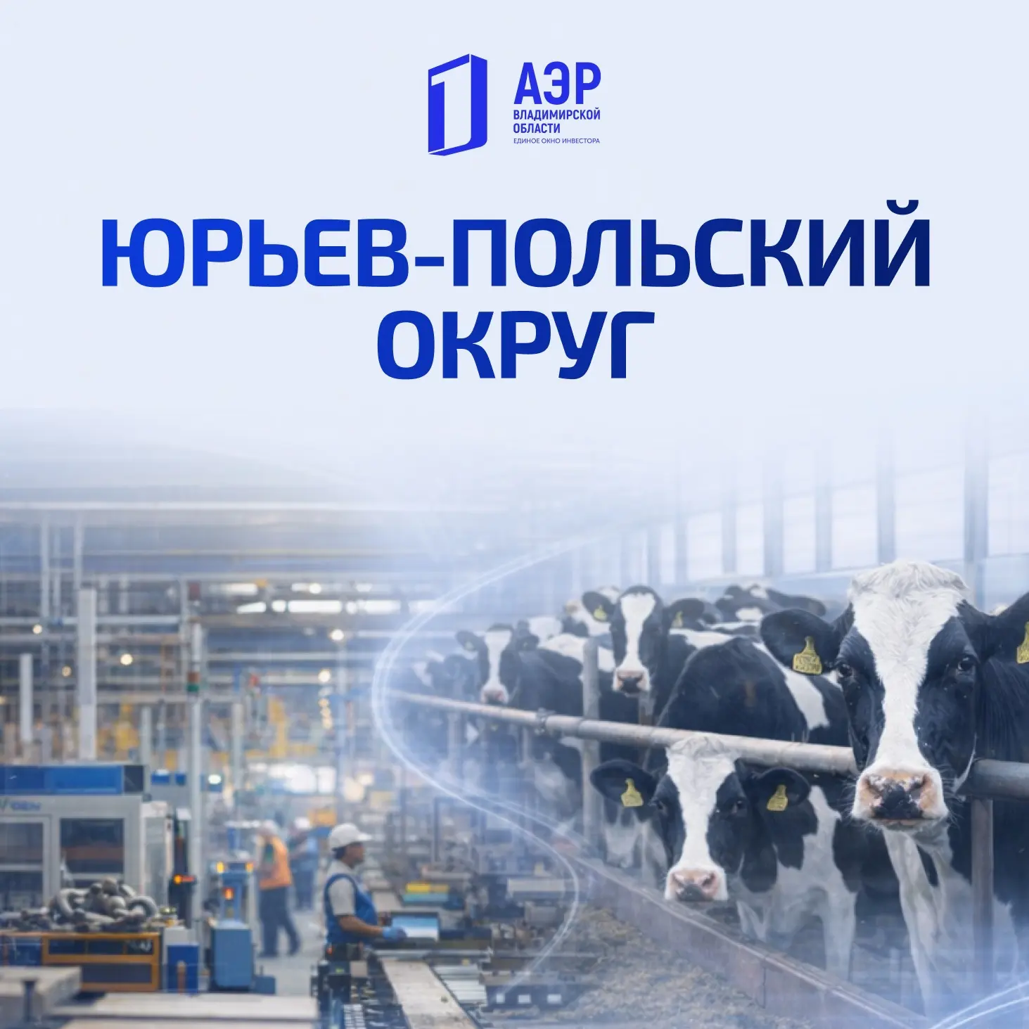 ЮРЬЕВ-ПОЛЬСКИЙ ОКРУГ: СЕРДЦЕ ВЛАДИМИРСКОГО ОПОЛЬЯ 🌾🚜