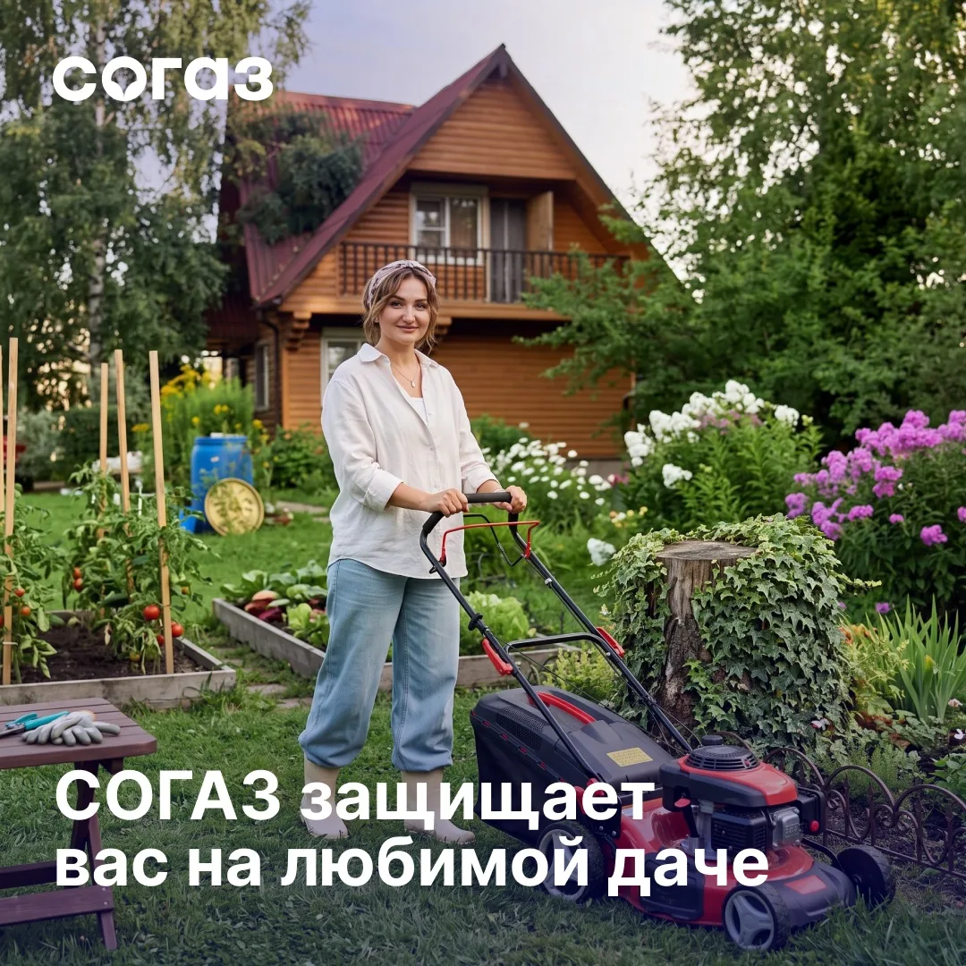 Дача — место, куда хочется возвращаться каждые выходные лета. 

Но даже там иногда случаются неприят