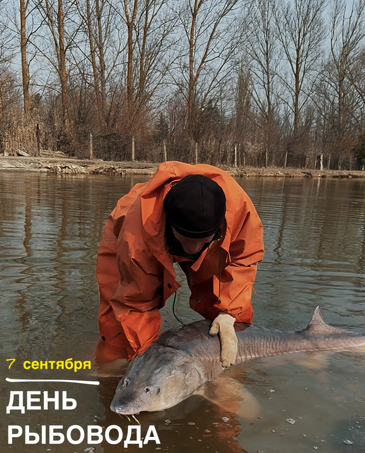 Профессиональный праздник у рыбоводов!