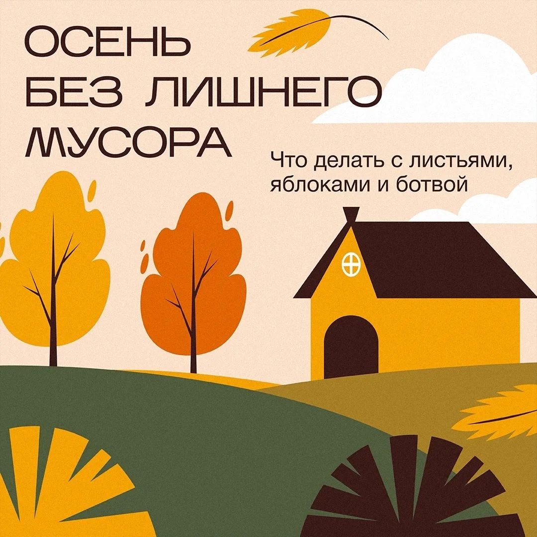 🍎 Яблоки, ботва, листья — осенью дачный участок быстро превращается в генератор органики