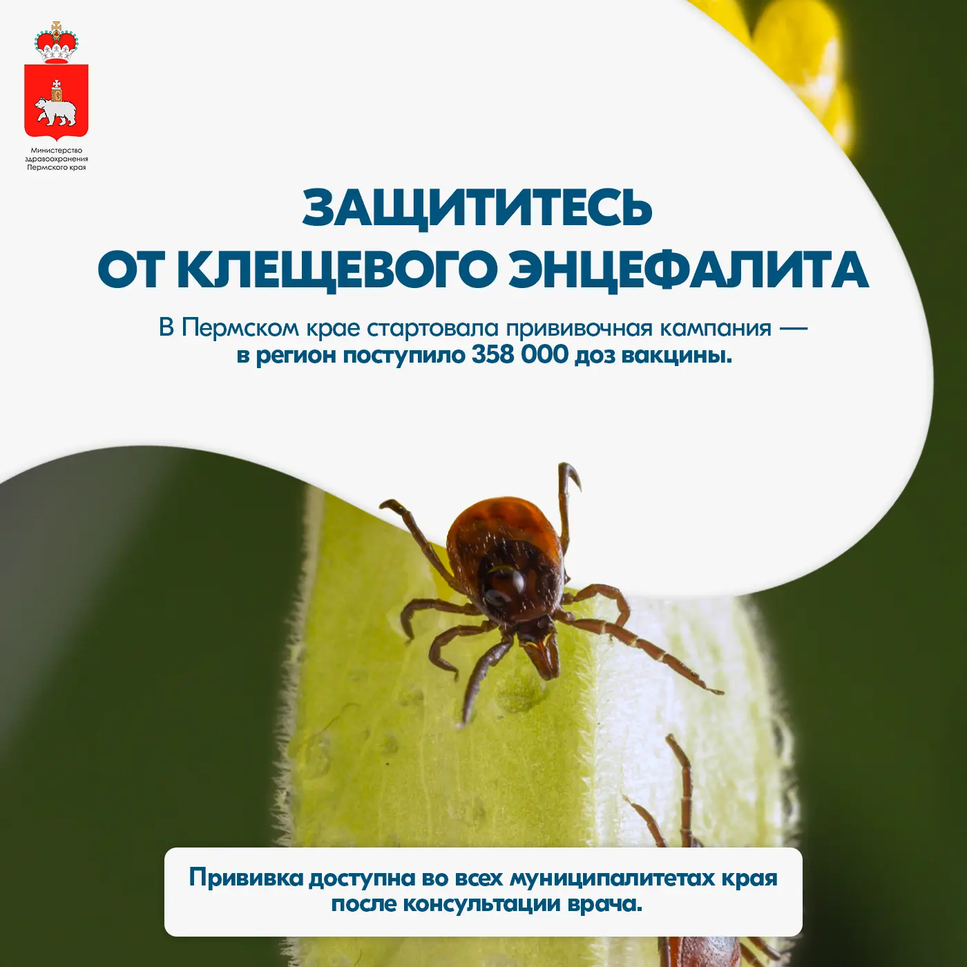Осторожно — клещи!