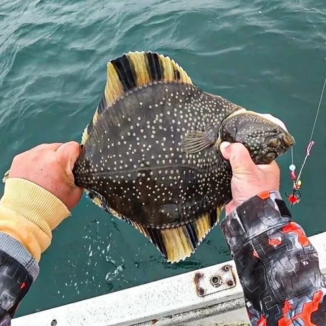 🎣🐟Создали чат для рыбаков Приморского края