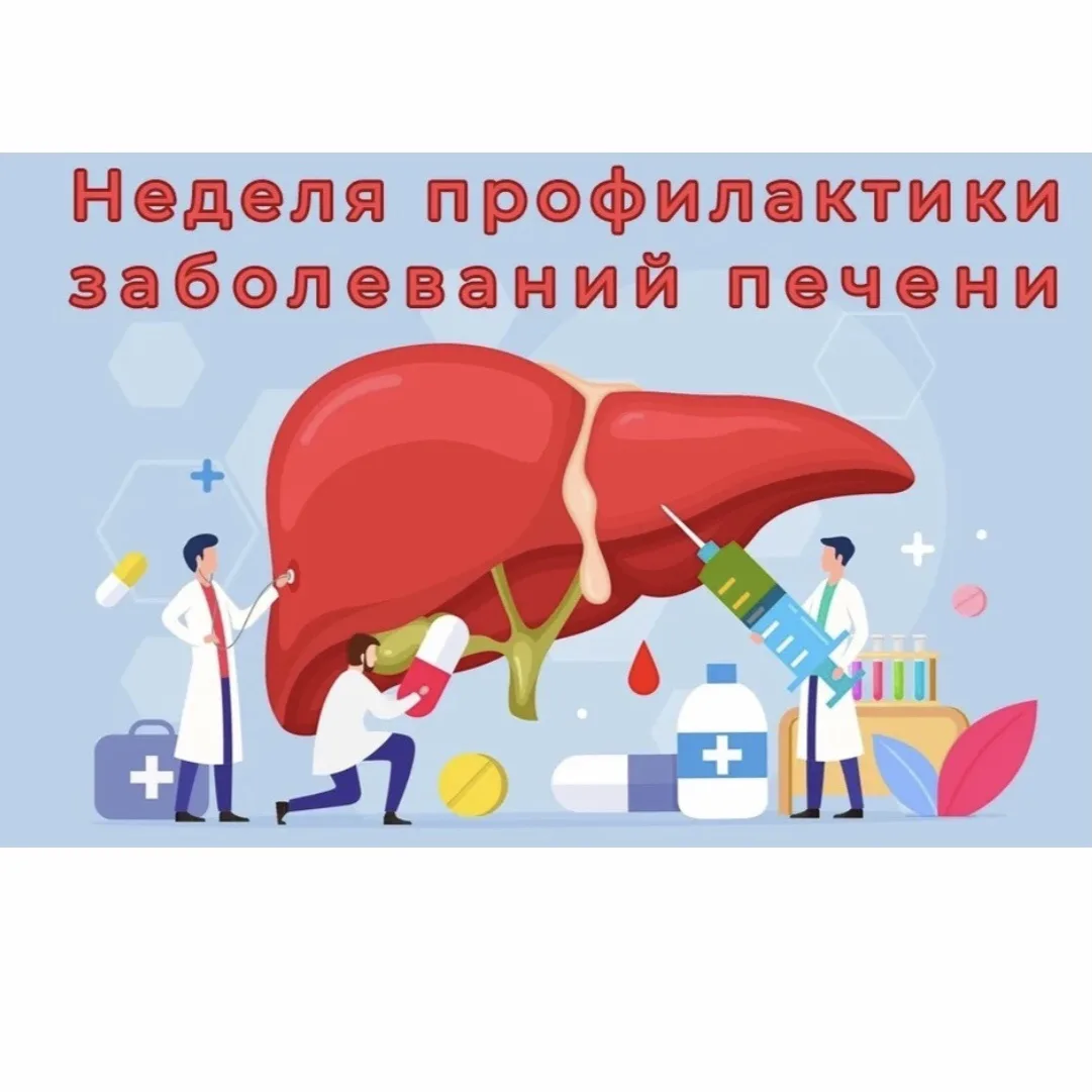 Печень — один из ключевых органов человеческого организма: она участвует в обмене веществ, обезврежи