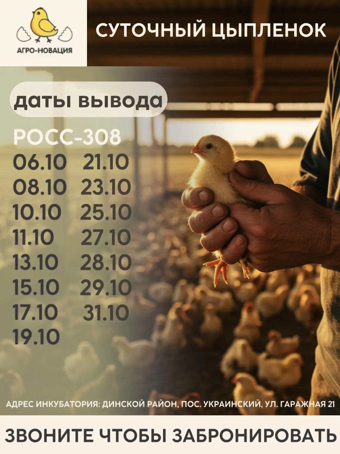 Актуальный график|ОКТЯБРЬ