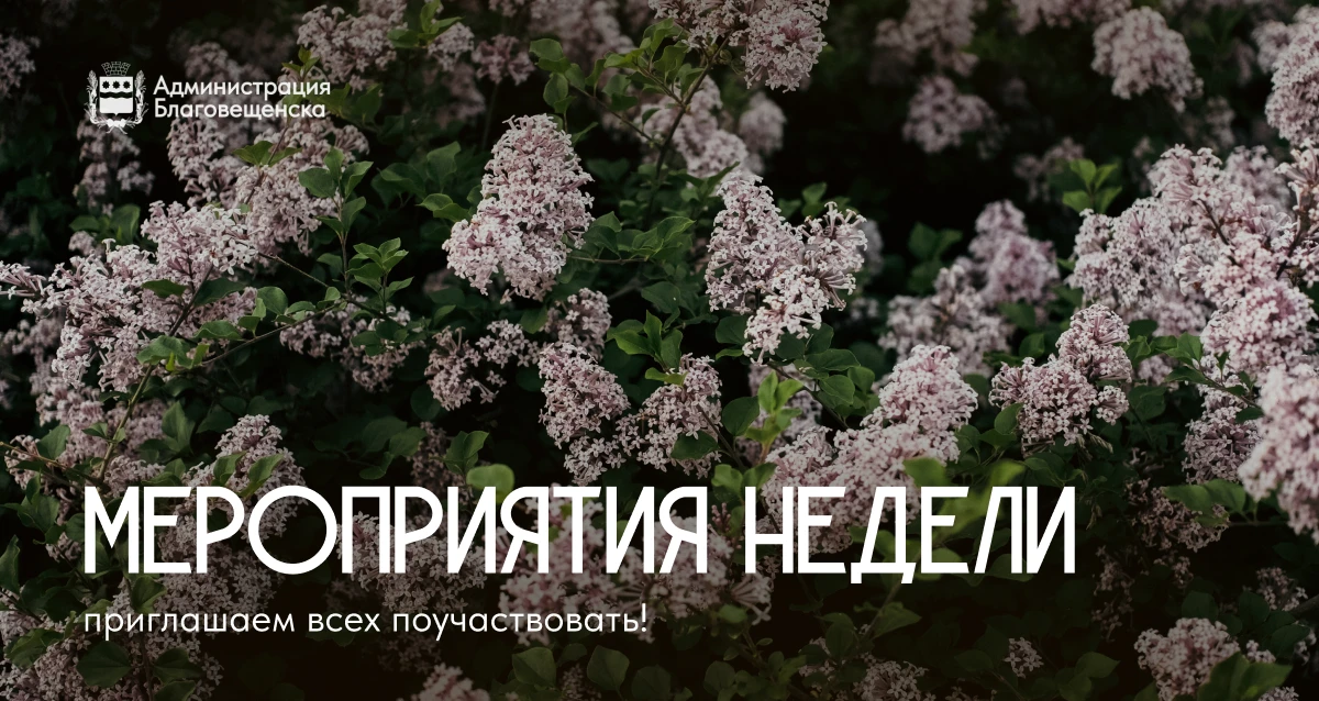 Танцы, стрельба из лука, игры и творчество — всё самое интересное уже в нашем расписании✨ 

Присоеди