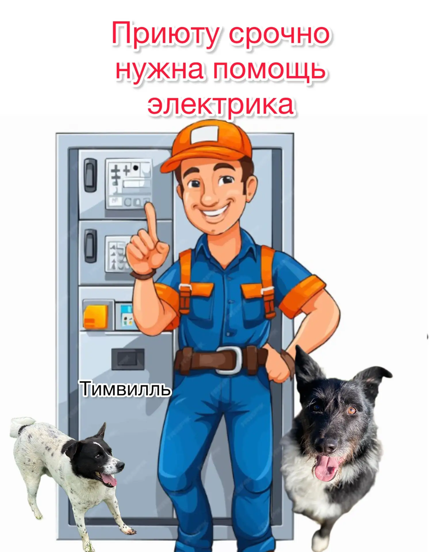 Друзья, СРОЧНЫЙ КРИК О ПОМОЩИ! 🆘