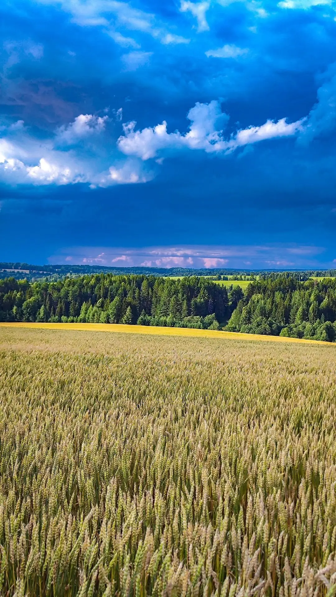 😍 Просторы Кезского района

Фото: Андрей Ложкин 

Ижевск с огоньком | Подписаться
