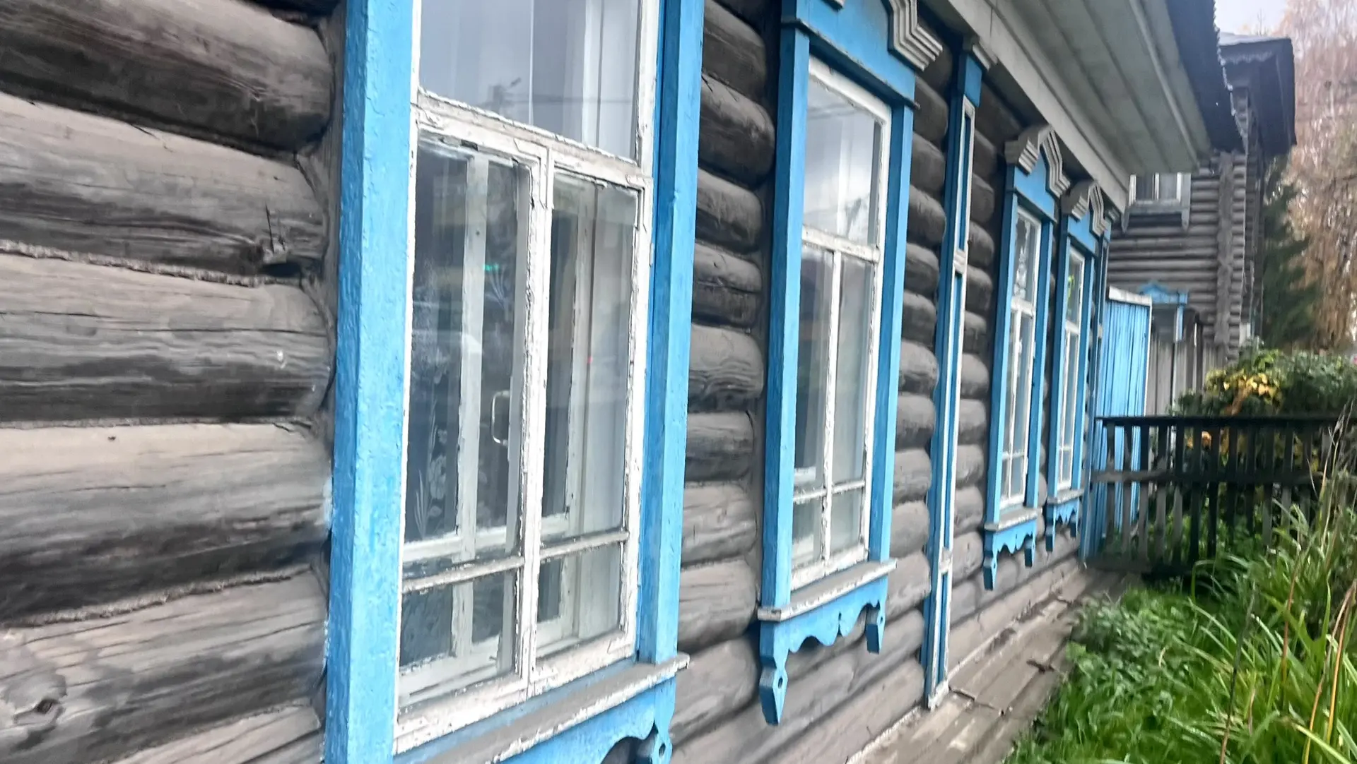 Среда в объективе.