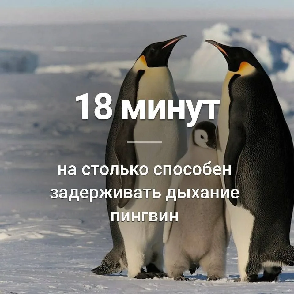 Признавайтесь, знали?
