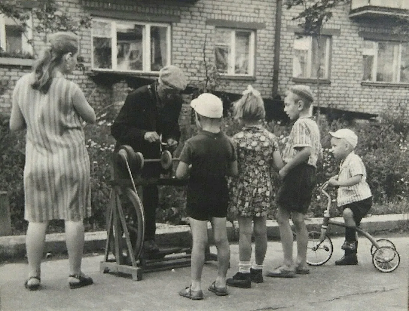 В объективе 1960-е.