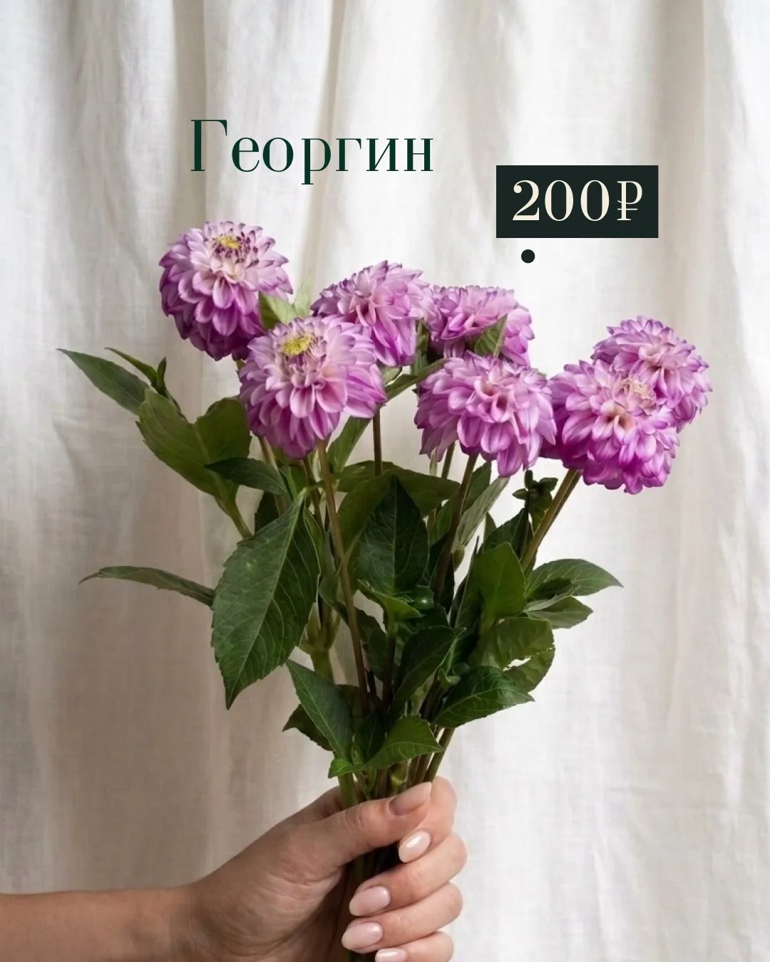 Обновили ассортимент — теперь в «Цветы для Вас» ещё больше ярких красок 🌸