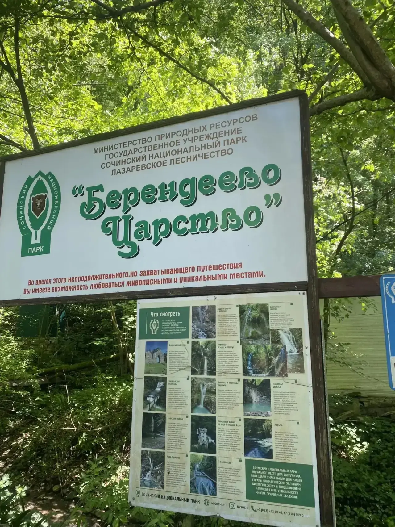 🌳«Первая волна» вместе с Аннеттой — в «Берендеевом царстве».

Такой дружной компанией гуляли среди 