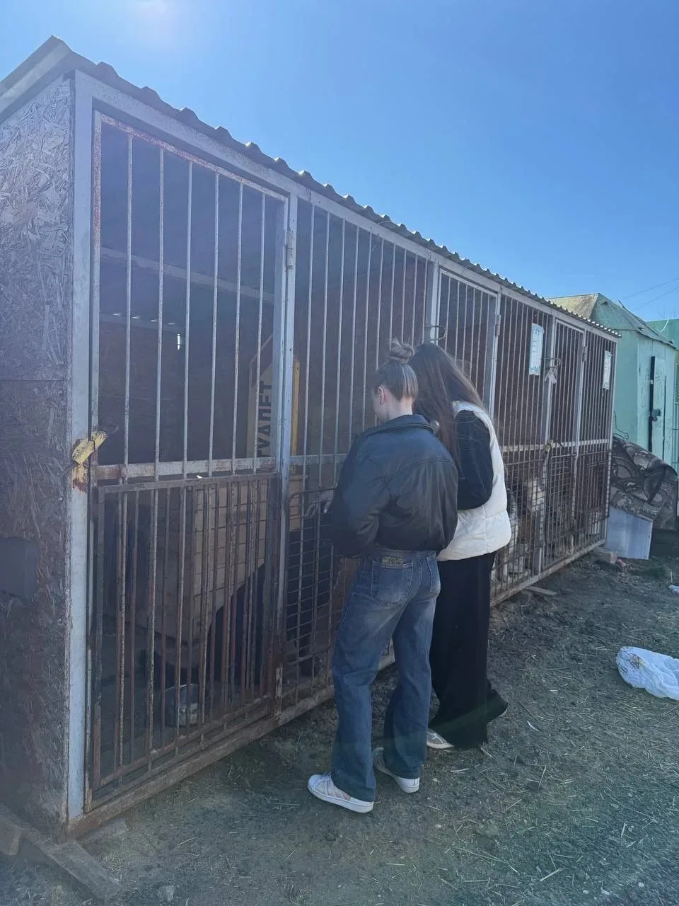 🐾 Добрый день в календаре — добрые дела в приюте!  16 апреля 2026 года, наш отряд «Волонтеры Ярослав