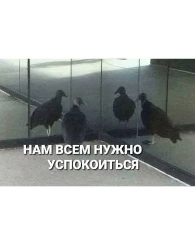 Шла середина недели