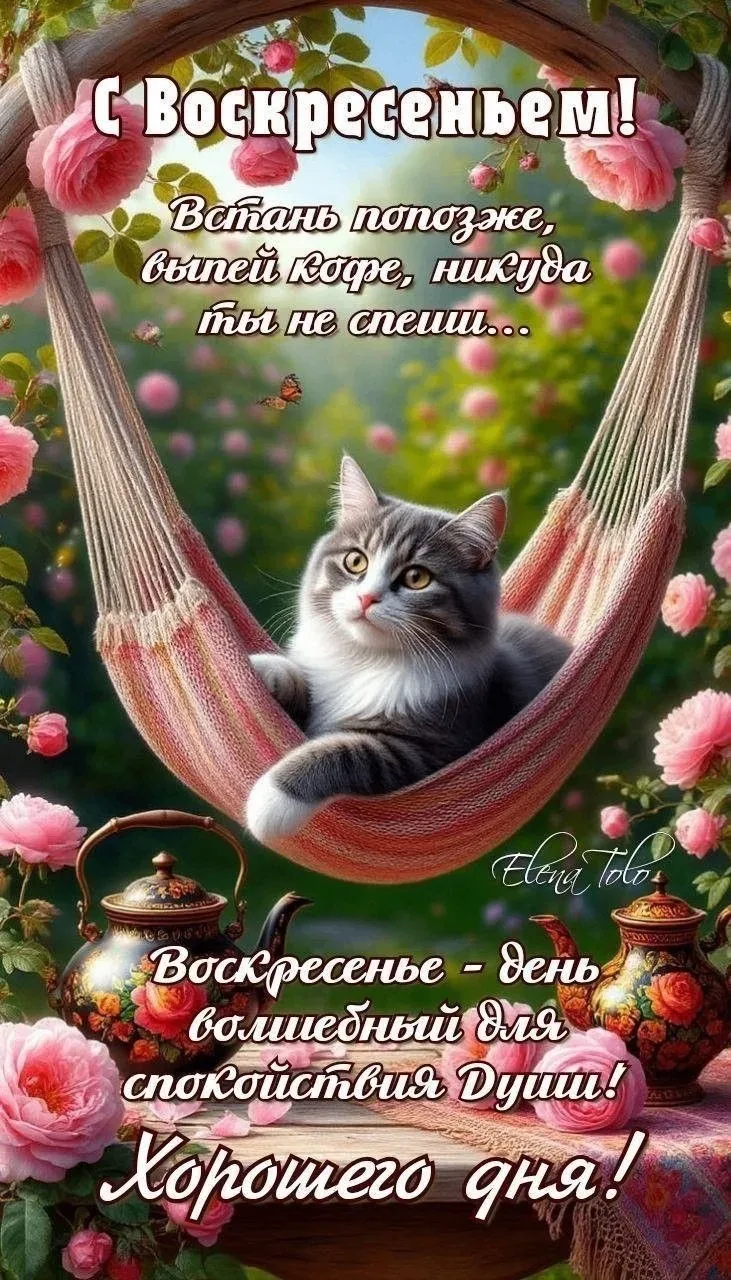 🥰 Ставьте реакции и делитесь открыткой с близкими ❤️

💌 Лучшие Открытки в MAX! 👉 Подписаться