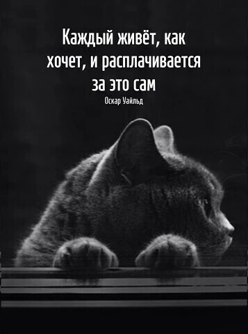 Изображение 1 к публикации «Мудрость для сильных людей 🧠💪»