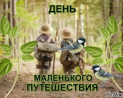 Сегодня 13 июня 2026 года, суббота - отмечается 11 праздников 

⛺️День маленького путешествия 
🛋️Де