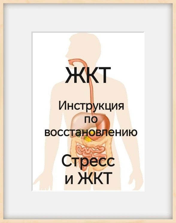 💁 ЖКТ: инструкция по восстановлению.