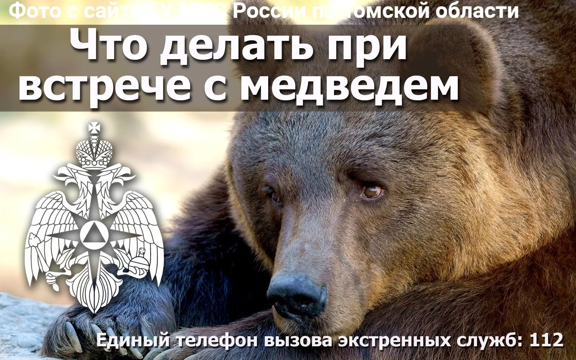Уважаемые жители Новолялинского муниципального округа!