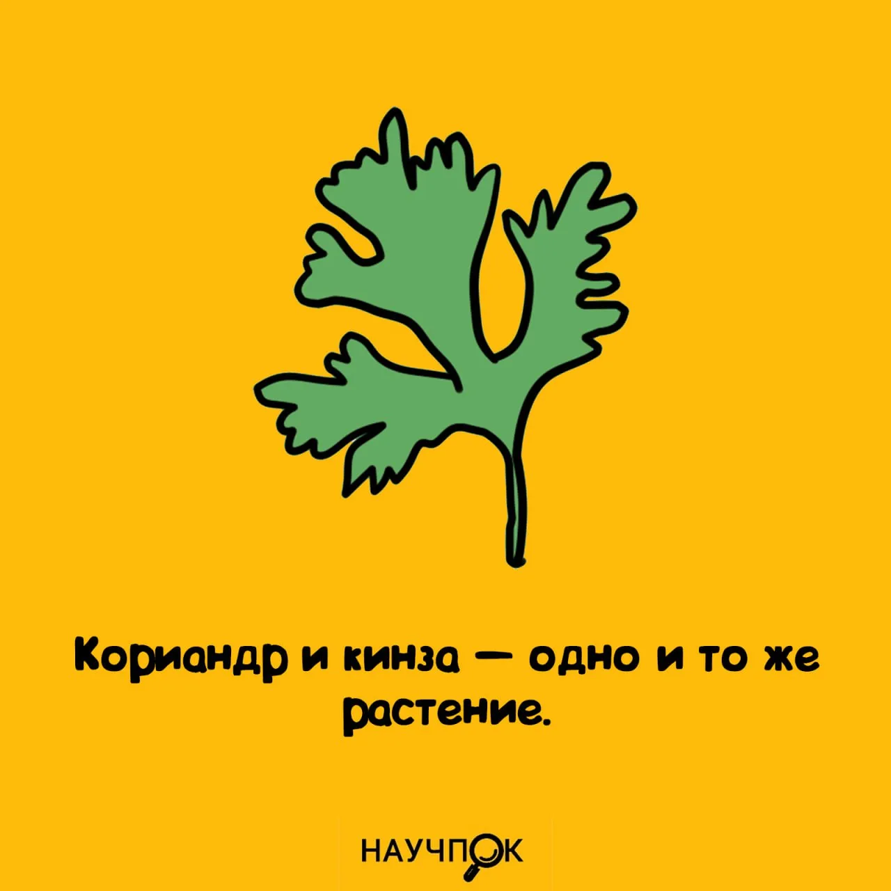 Не путаем 👀