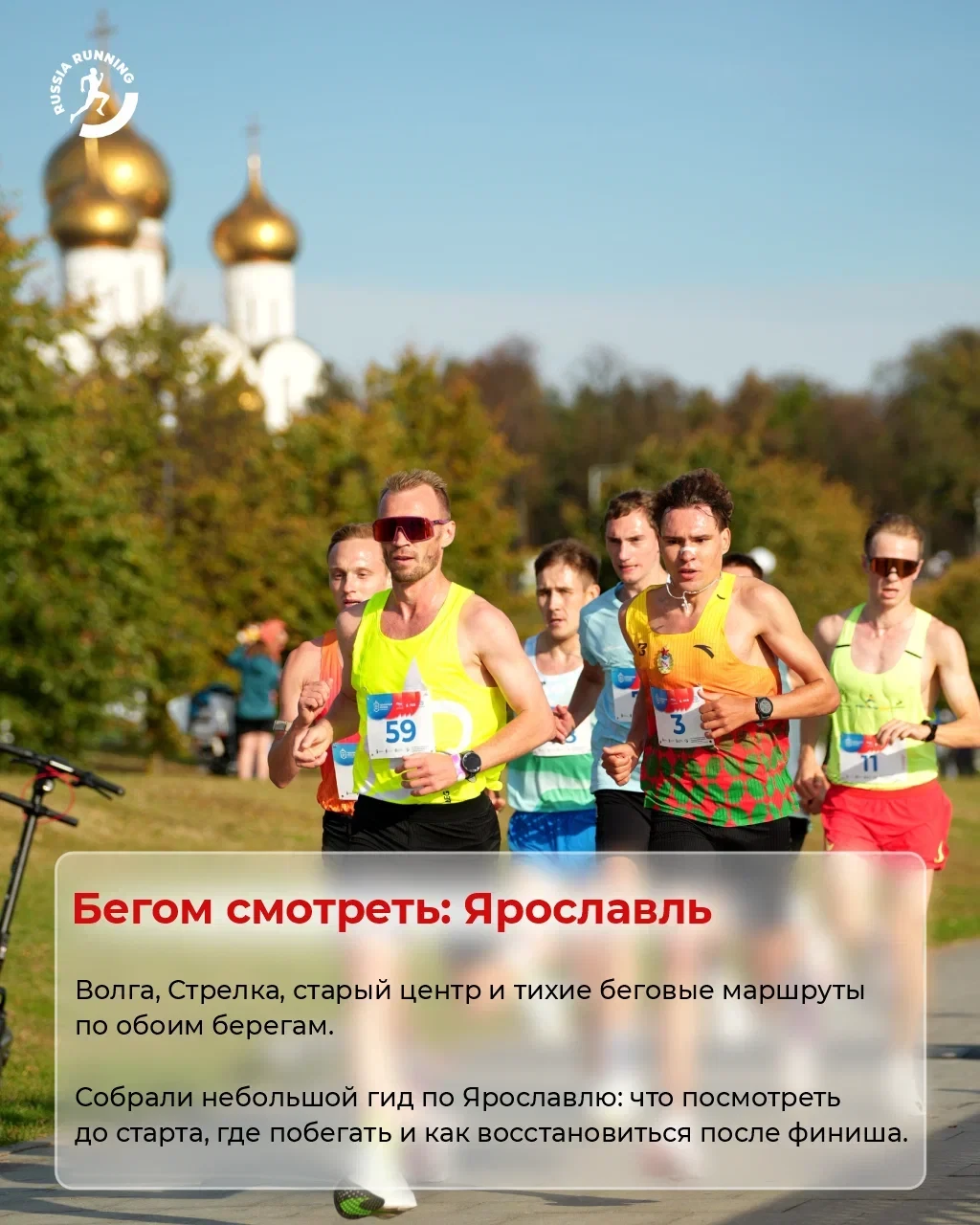 🐻 Волга, стрелка, медведи. За всем – в Ярославль!