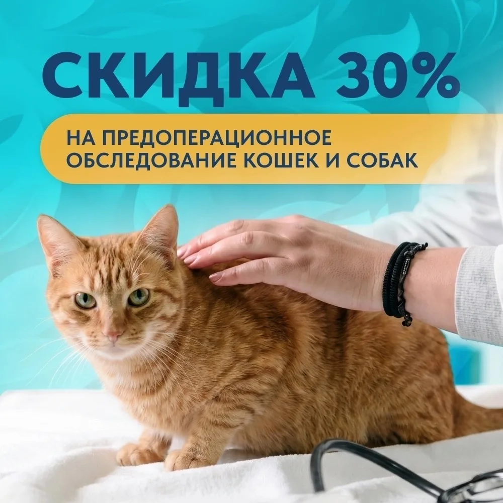 🔥 Предоперационное обследование со скидкой 30%
