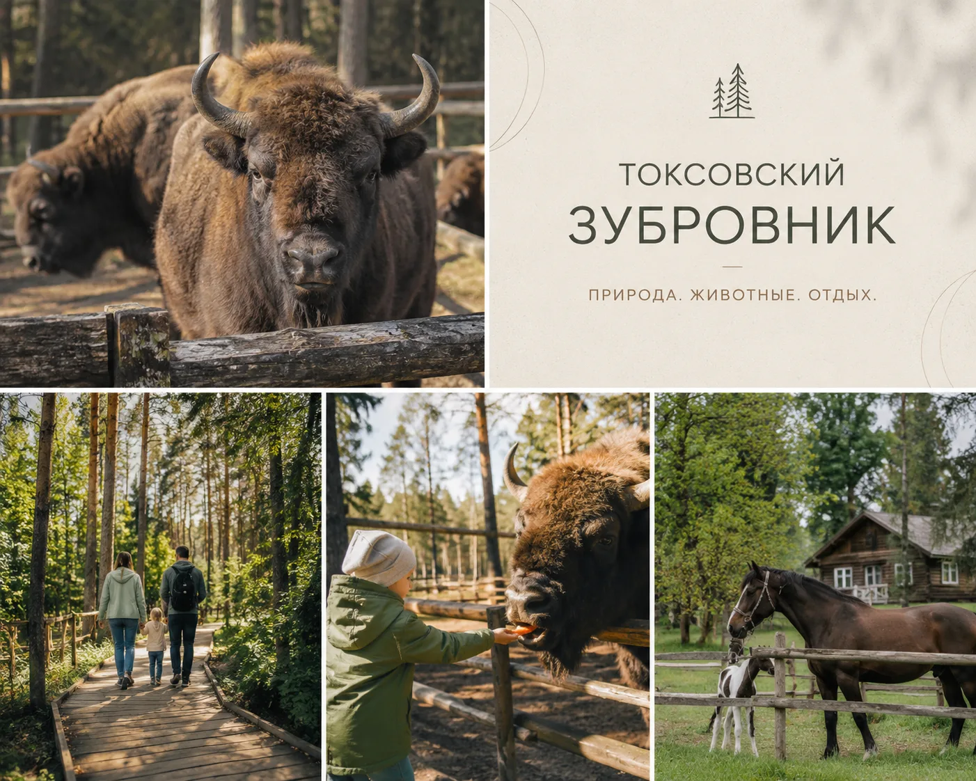 🌲 Насыщенный день с природой, животными на свежим воздухе