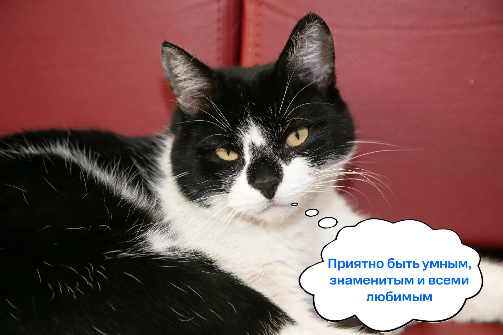 Вы не оставили нам выбора!