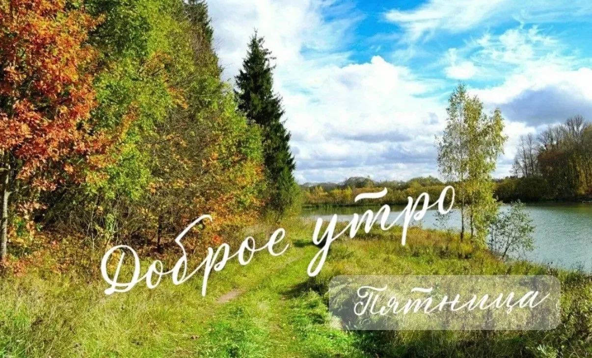 04.09.2026: ночь: облачно с прояснениями. Местами небольшой дождь. Ветер южный, юго-вос...
