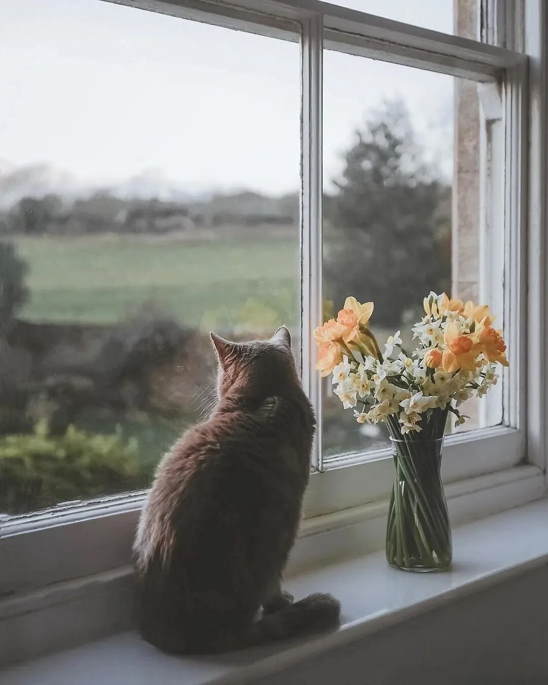 💌 Совет дня