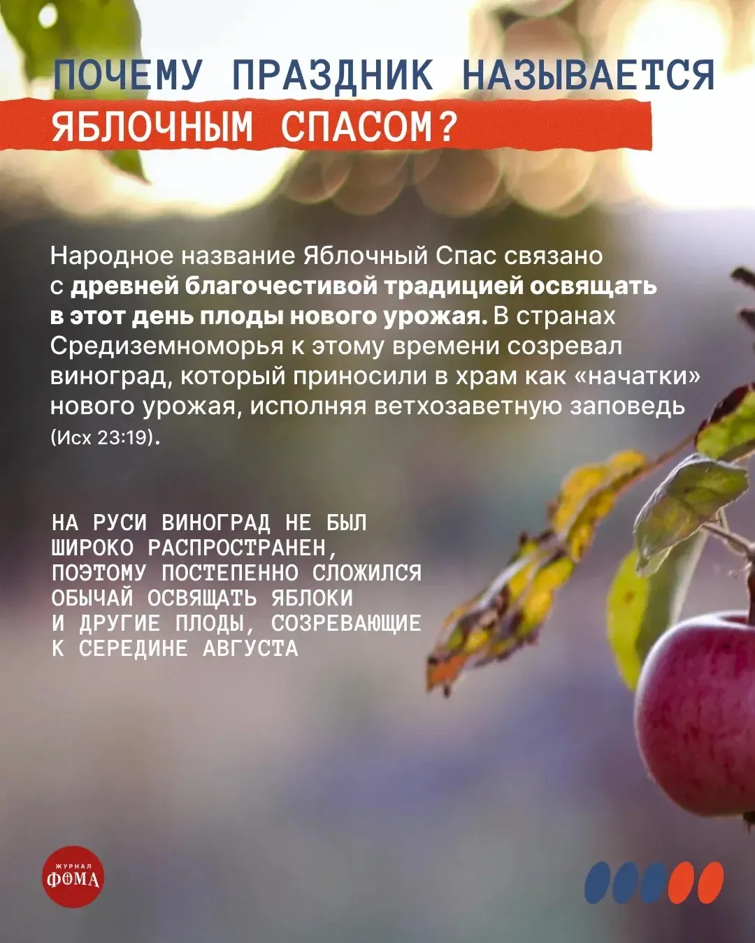 В Центральной детской библиотеке имени З. Космодемьянской состоялась встреча учащихся н...