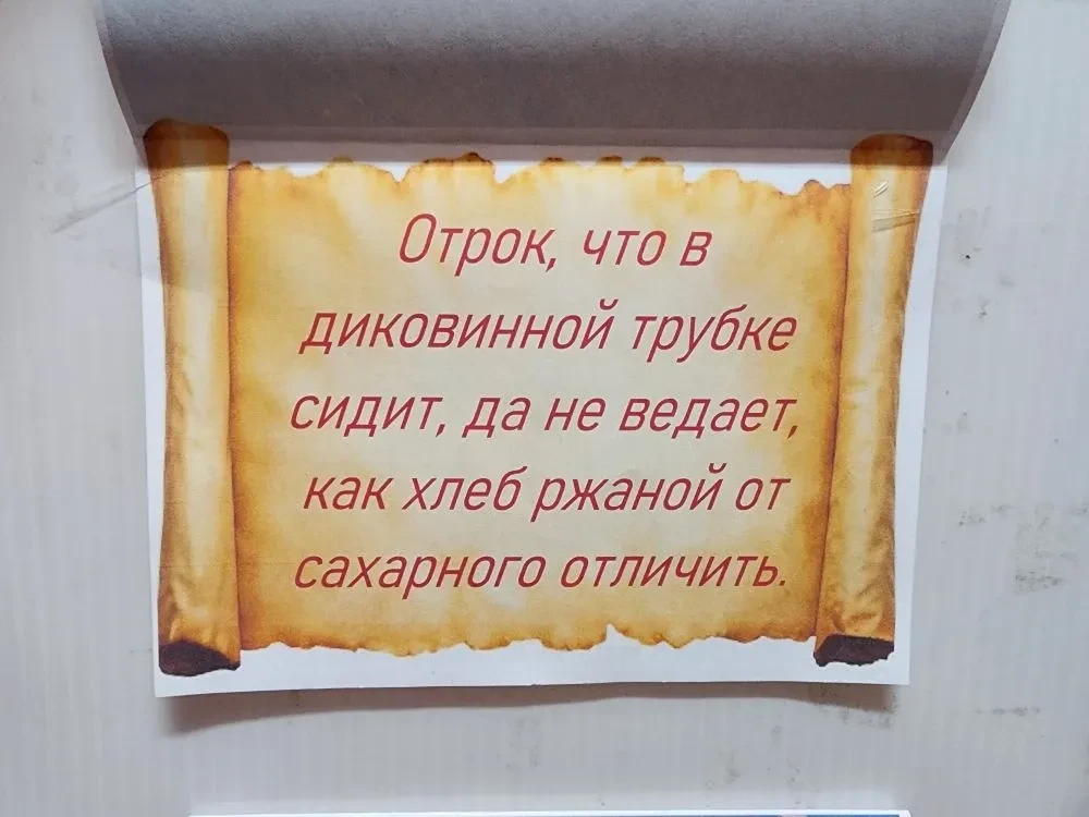 Путешествие сквозь века — от современного сленга к древней мудрости 🌍📚 21 февраля — Всемирный день р