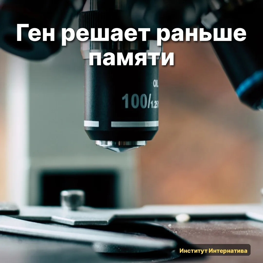 🧠 Открыла арХив утром, перечитала статью дважды. Не верилось, что такое пропустила.