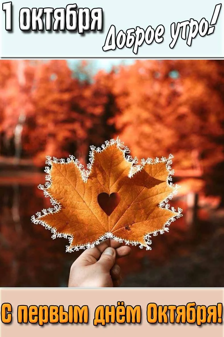 ☀️ Доброе утро, Барнаул! Первый день октября порадует солнечной погодой! 🍁